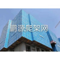 专业生产爬架网 钢芭片15131800068
